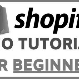 Shopify web optimization Optimization Tutorial For Novices |  Step-by-step FREE TRAFFIC